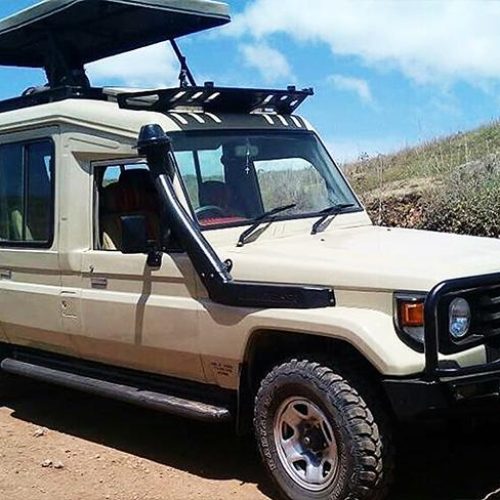 jeep-safari-tomodachi-tours-safaris-tanzania-africa